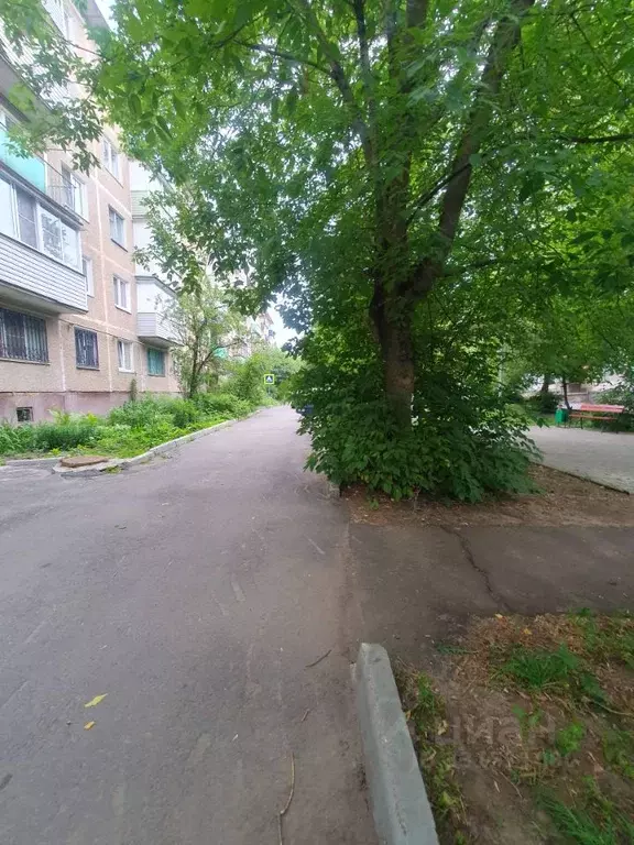 1-к кв. Московская область, Ногинск Богородский городской округ, ул. ... - Фото 2