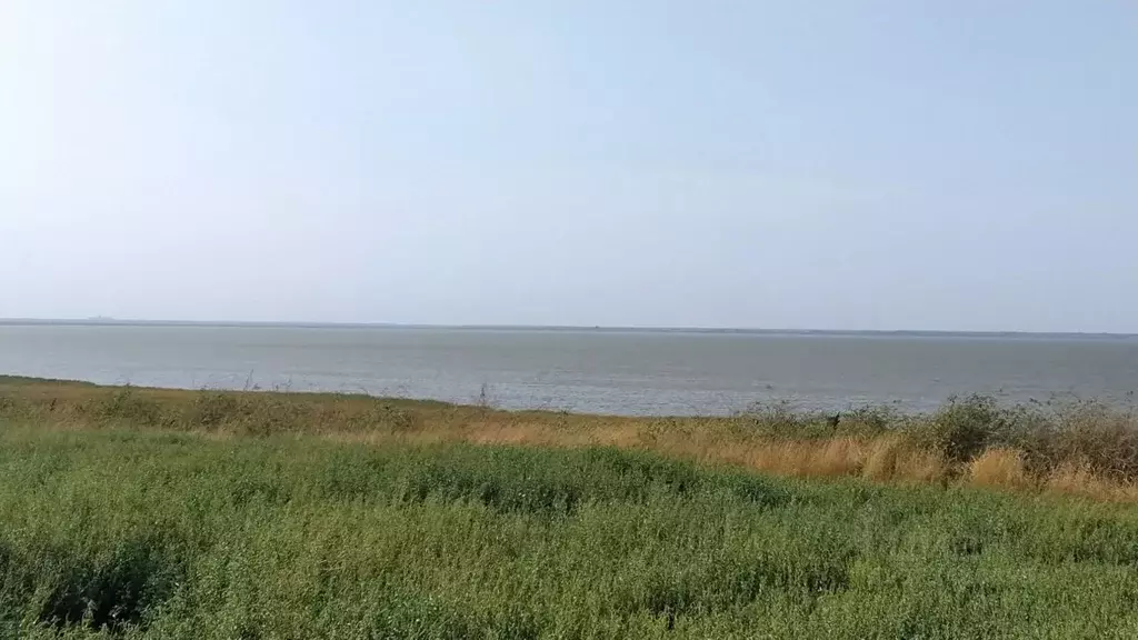 Участок в Краснодарский край, Щербиновский район, с. Николаевка ул. ... - Фото 1