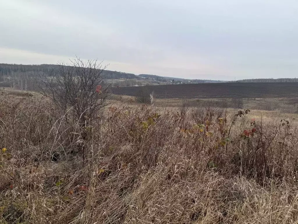 Участок в Московская область, Кашира городской округ, д. Клубня  (14.5 ... - Фото 0