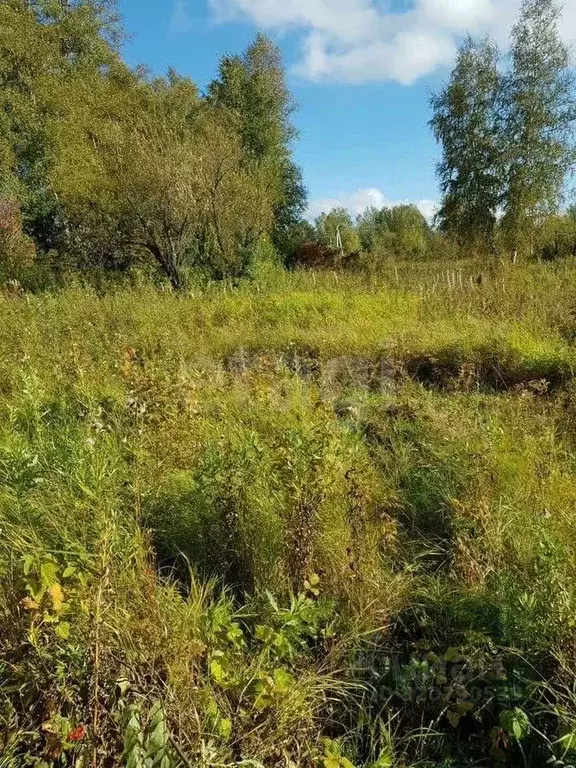 Участок в Новосибирская область, Новосибирский район, Кубовинский ... - Фото 0