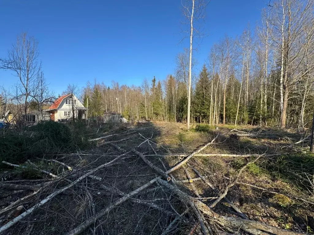 Участок в Ленинградская область, Гатчинский муниципальный округ, ... - Фото 2