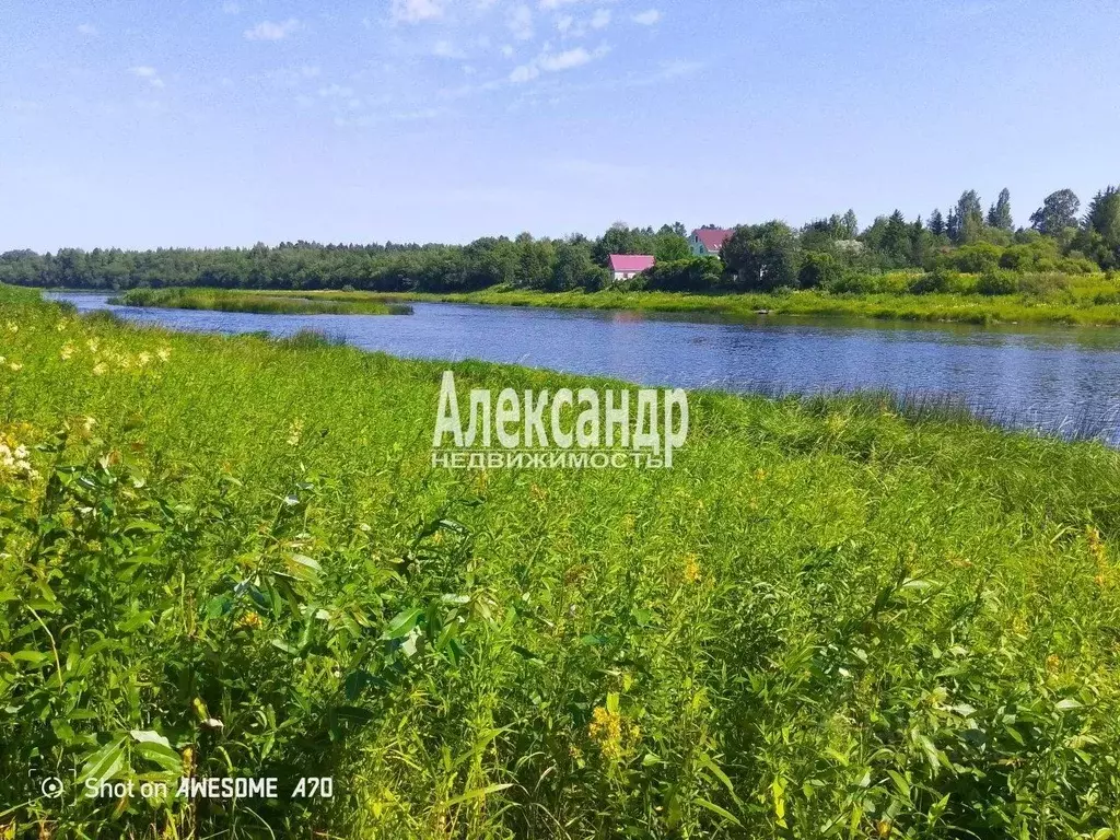 Участок в Ленинградская область, Волховский район, Колчановское с/пос, ... - Фото 2