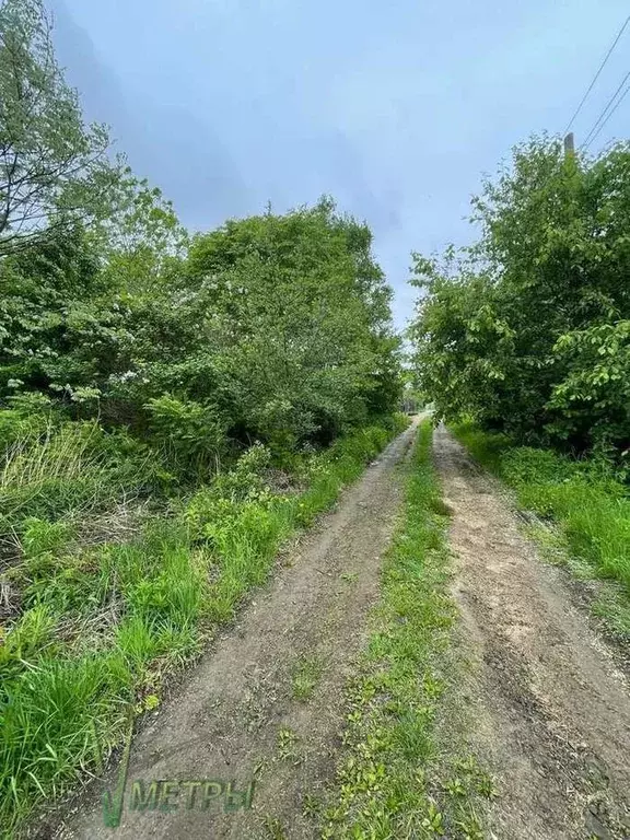 Участок в Приморский край, Надеждинский район, Коммунальник-2 СНТ  ... - Фото 1