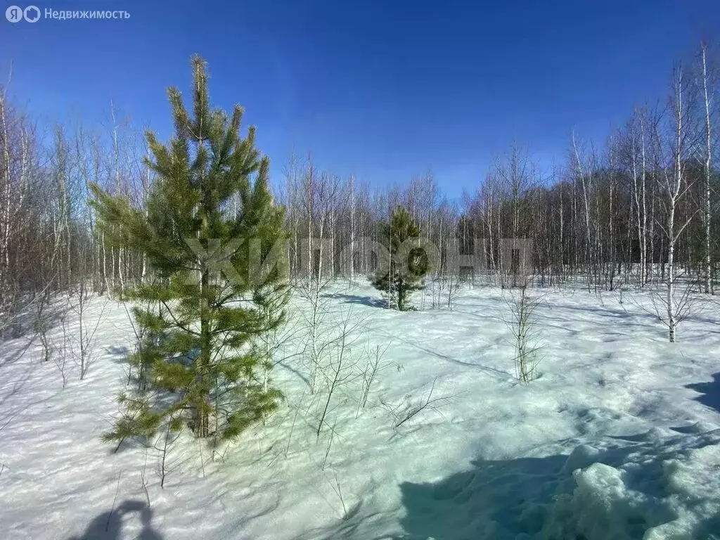 Участок в Барлакский сельсовет (11.2 м) - Фото 1