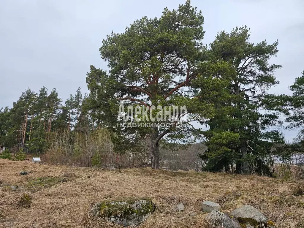 Участок в Карелия, Сортавальское городское поселение, пос. Рантуэ  ... - Фото 0