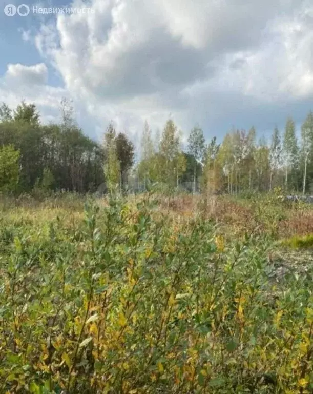 Участок в городской посёлок Ульяновка, товарищество собственников ... - Фото 1