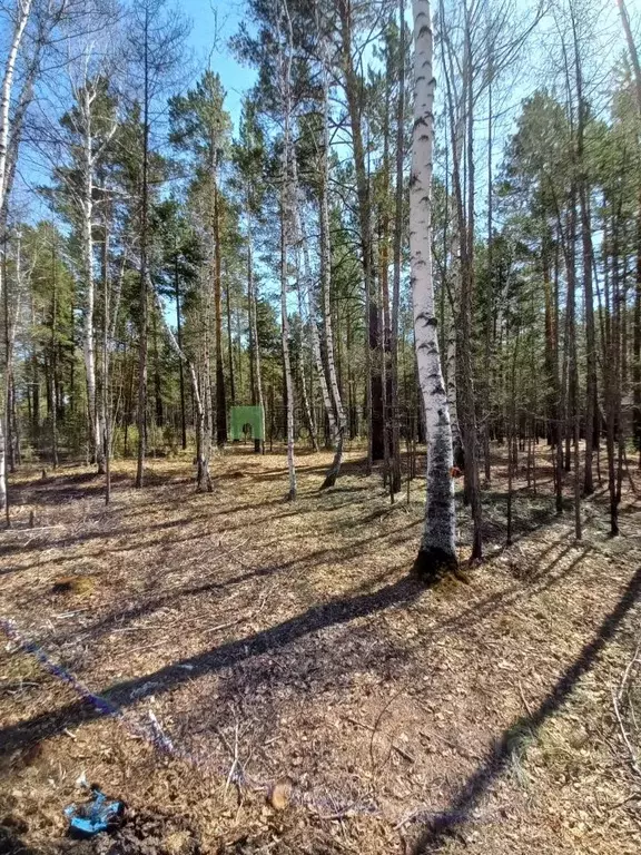 Участок в Забайкальский край, Читинский район, с. Смоленка  (8.08 ... - Фото 1