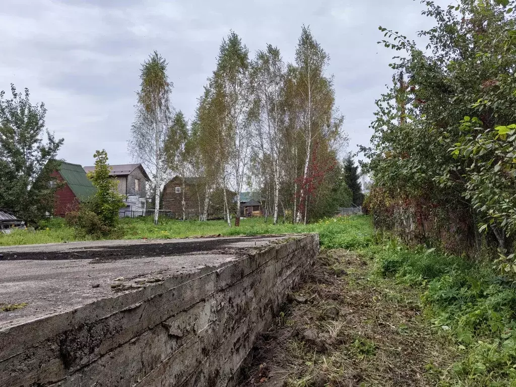 Продается участок в д. Костино - Фото 2