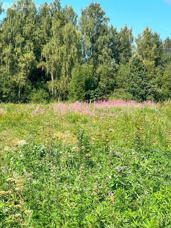 Участок в Московская область, городской округ Клин, деревня Щекино (6 ... - Фото 1