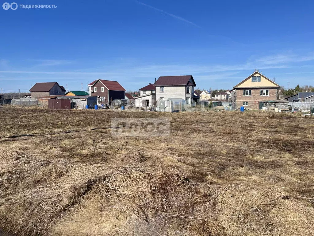 Участок в Ярославская область, Переславль-Залесский муниципальный ... - Фото 1