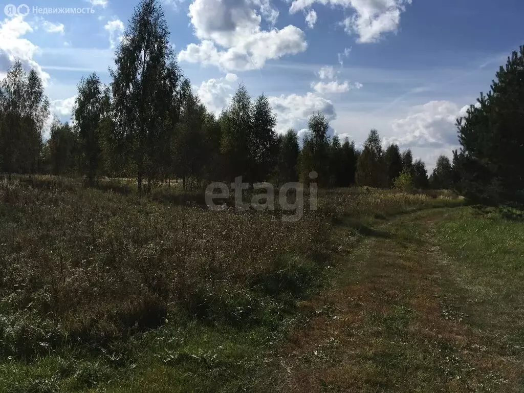 Участок в Ярославская область, Некрасовский муниципальный округ, ... - Фото 1