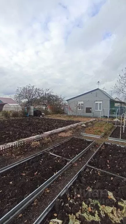 Дом в Пензенская область, Пенза Пчелка СНТ,  (50 м) - Фото 1