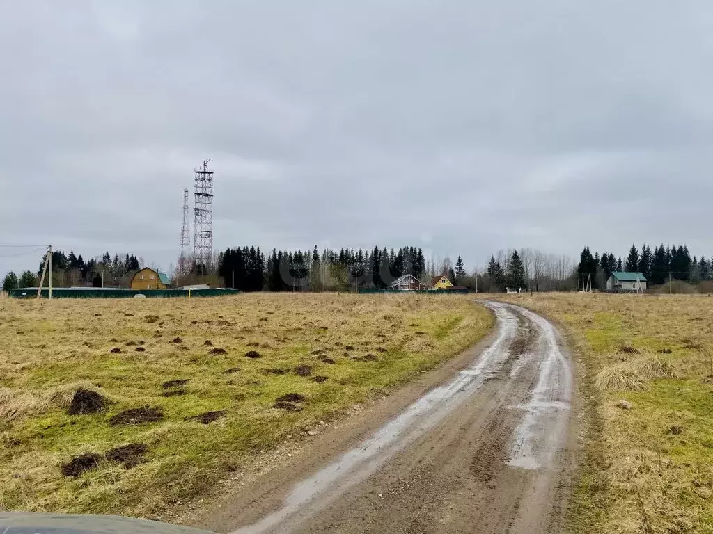 Участок в Псковская область, Печоры Вишенка садовое товарищество,  ... - Фото 1