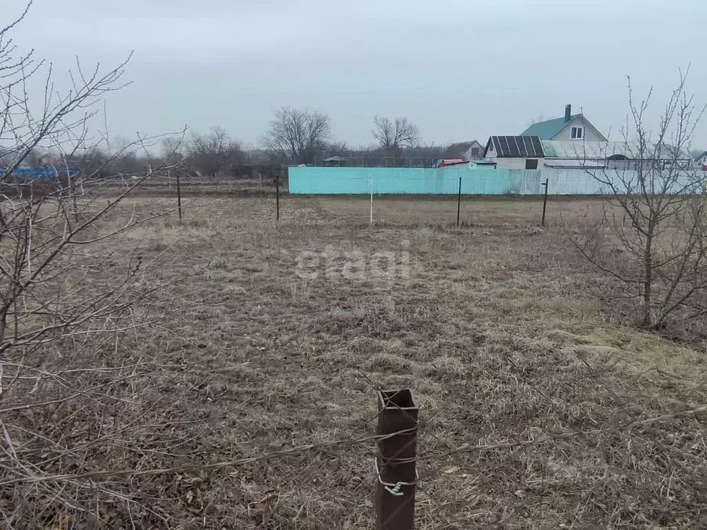 Участок в Воронежская область, Рамонский район, с. Айдарово Солнечный ... - Фото 1
