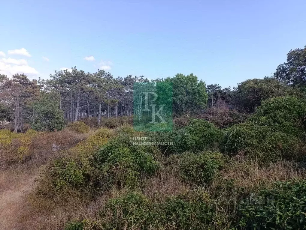 Участок в Севастополь Фиолент мкр,  (9.5 сот.) - Фото 2