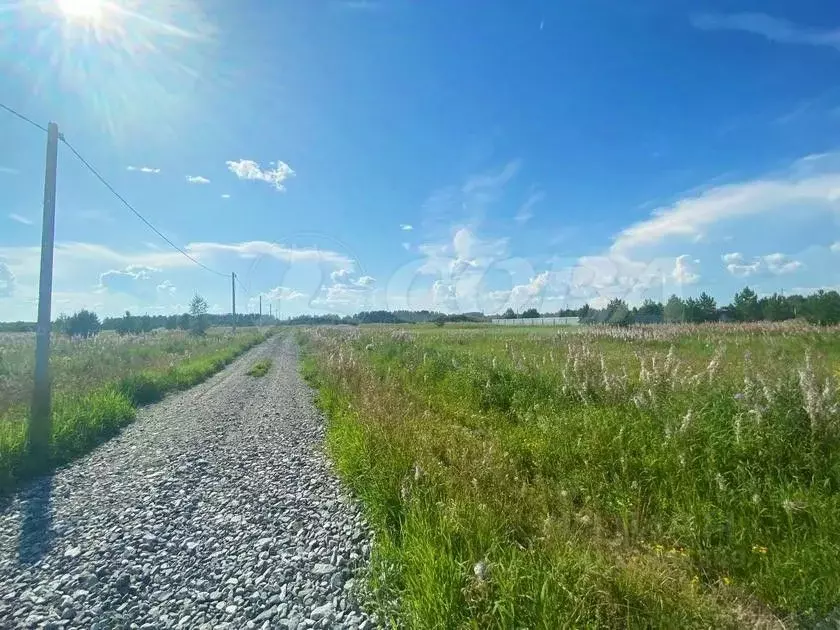 Участок в Тюменская область, Нижнетавдинский район, д. Штакульская ... - Фото 1