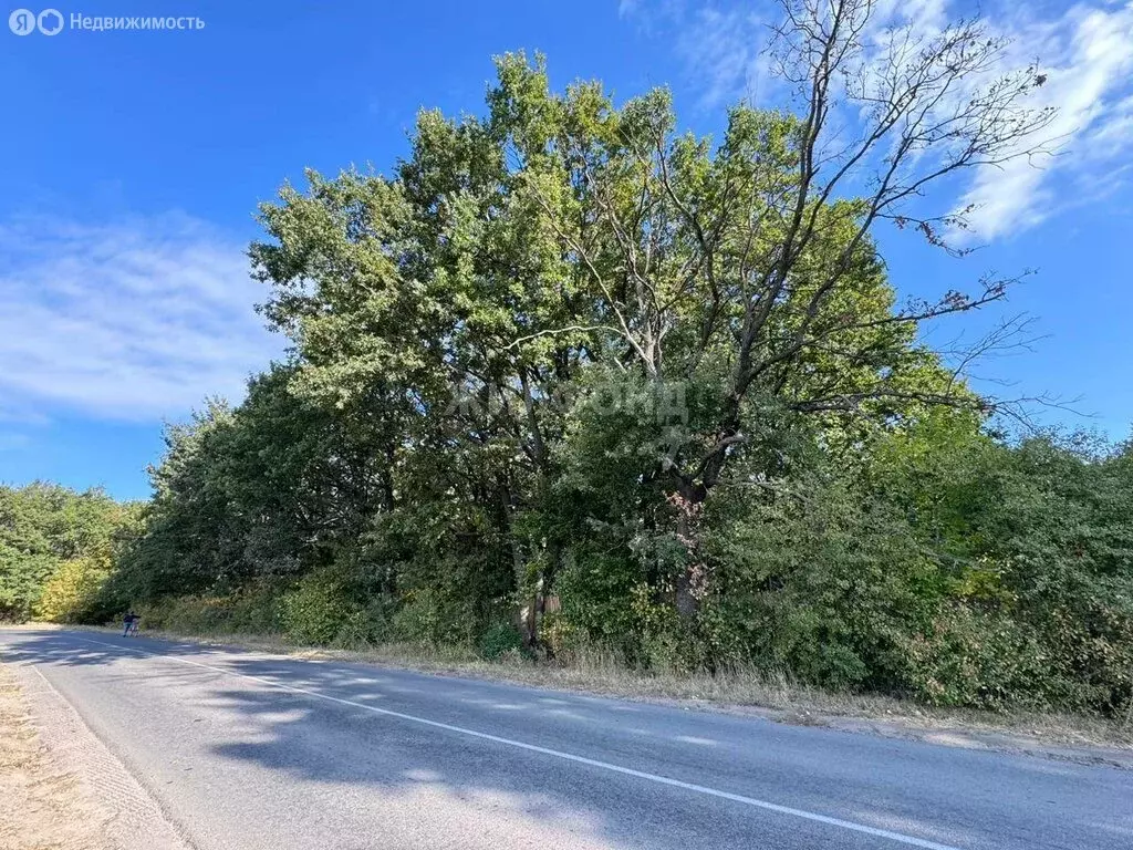 Дом в Семилуки, Лесная улица (128 м) - Фото 0