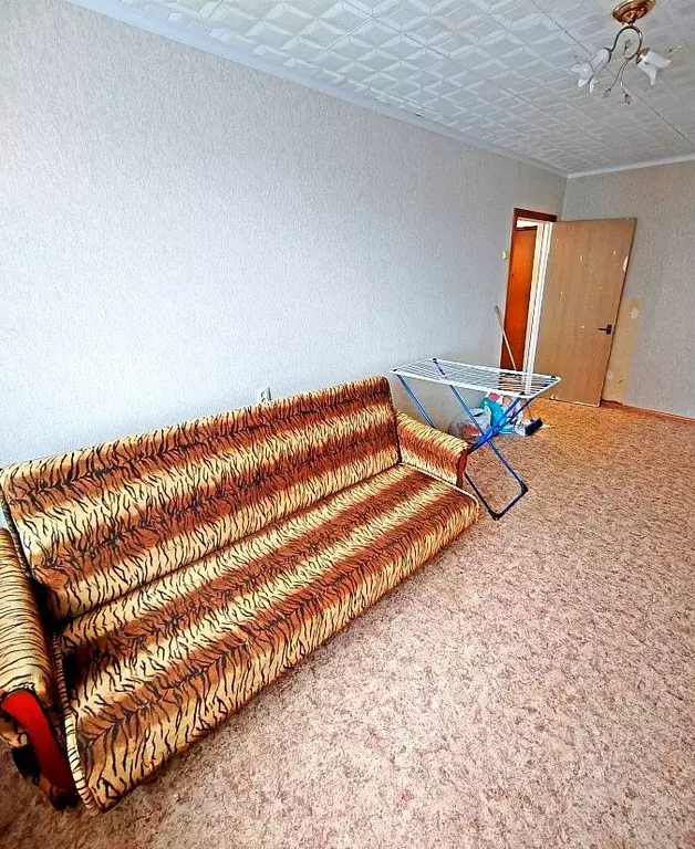 1-к кв. Ярославская область, Ярославль Северный жилрайон, ул. Елены ... - Фото 1