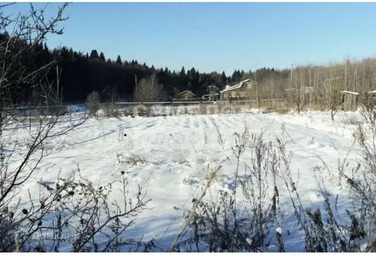 Дом в Московская область, Коломна городской округ, с. Нижнее Хорошово ... - Фото 1