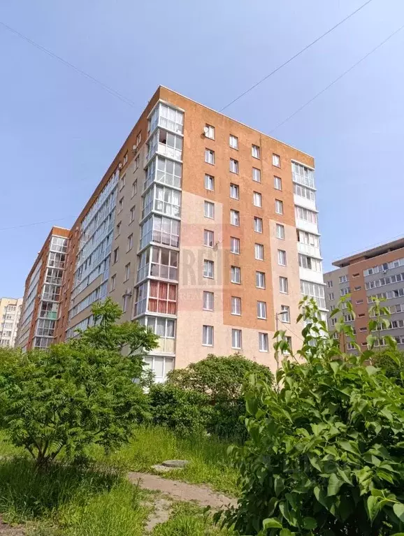 1-к кв. Калининградская область, Калининград ул. Олега Кошевого, 15 ... - Фото 0