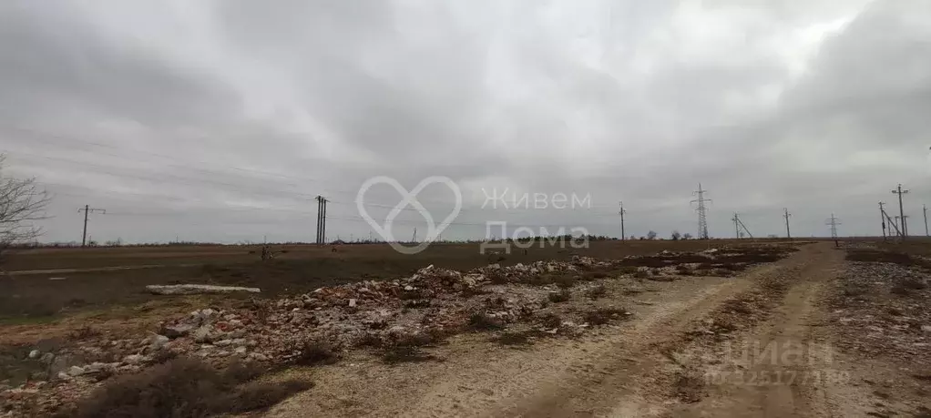 Участок в Волгоградская область, Городищенский район, Царицынское ... - Фото 1