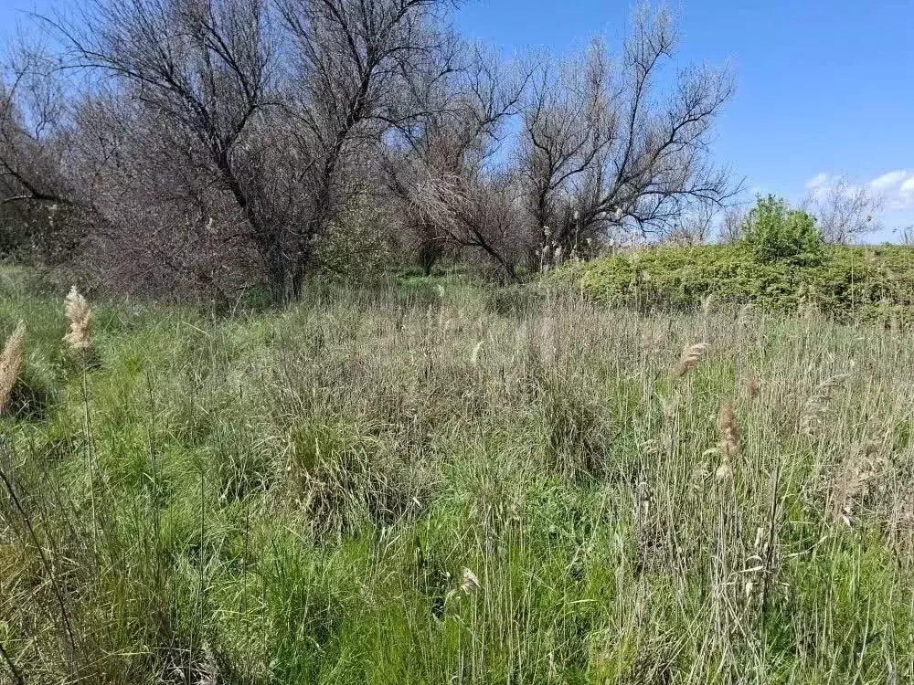 Участок в Крым, Феодосия пер. Казацкий (9.65 сот.) - Фото 1