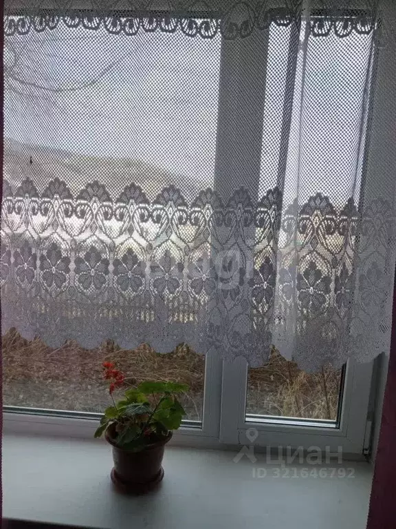 2-к кв. Алтайский край, Алтайский район, с. Сараса ул. Кузьмина, 52 ... - Фото 0