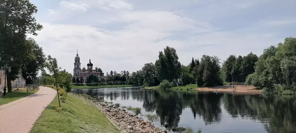 Участок в Новгородская область, Старая Русса  (10.5 сот.) - Фото 1