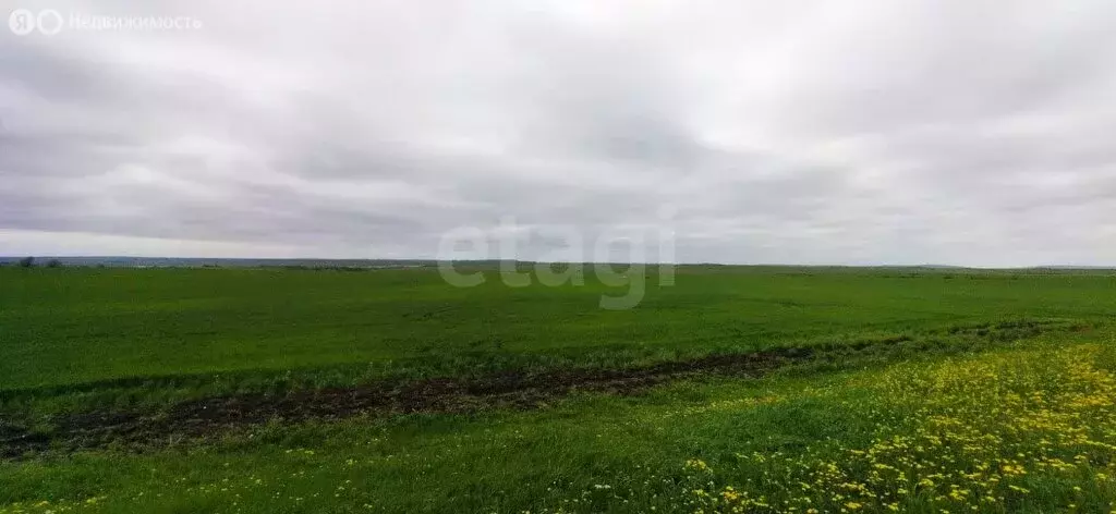 Участок в Каменское, Овражная улица (100 м) - Фото 1