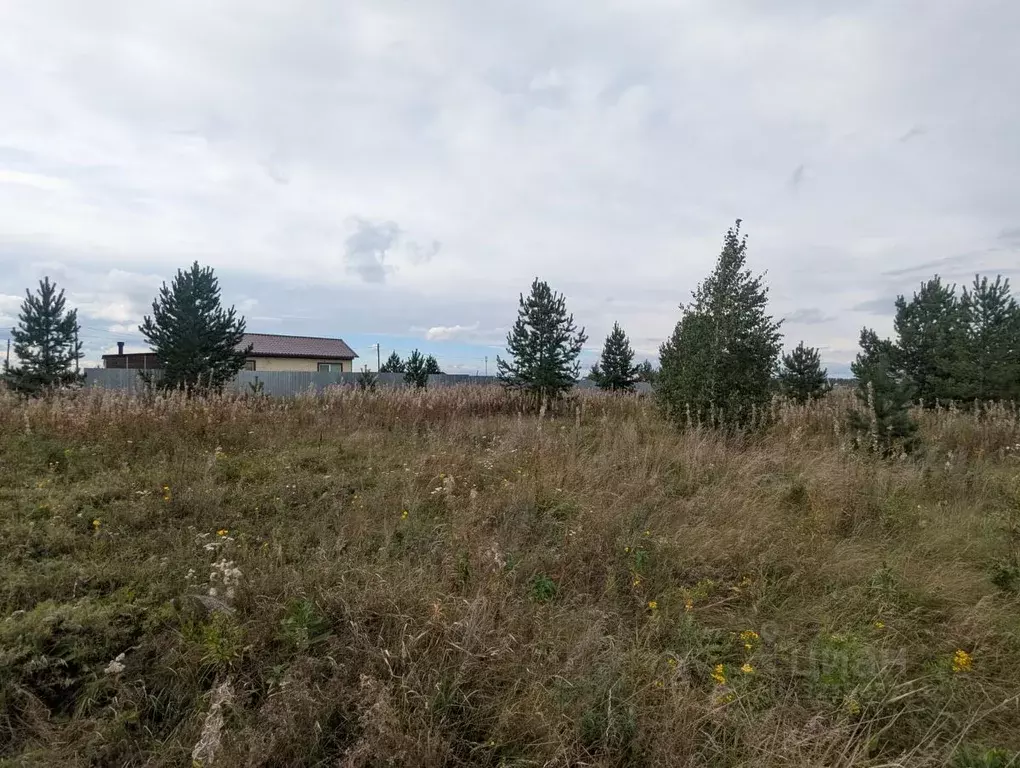 Участок в Челябинская область, Сосновский муниципальный округ, д. ... - Фото 2