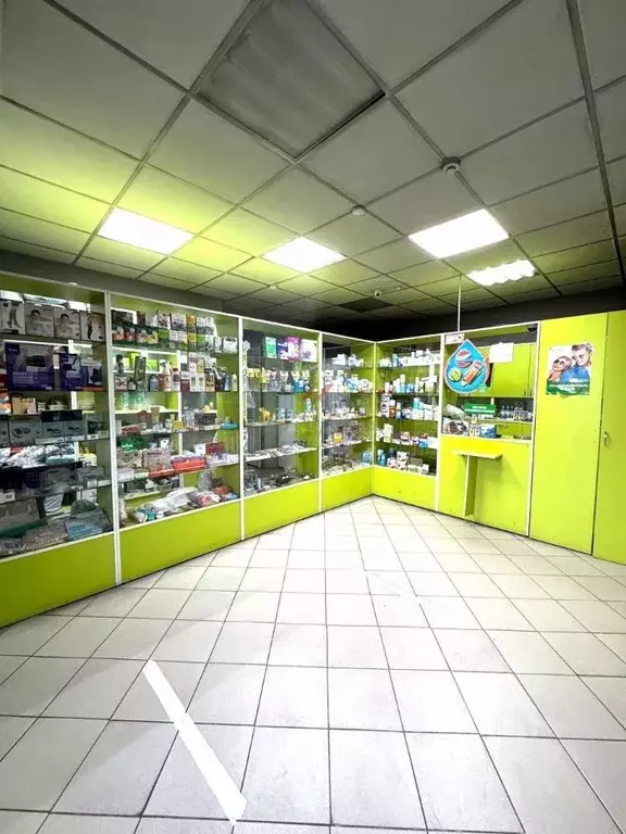 Торговая площадь в Тыва, Кызыл № 12 СНТ,  (69 м) - Фото 2