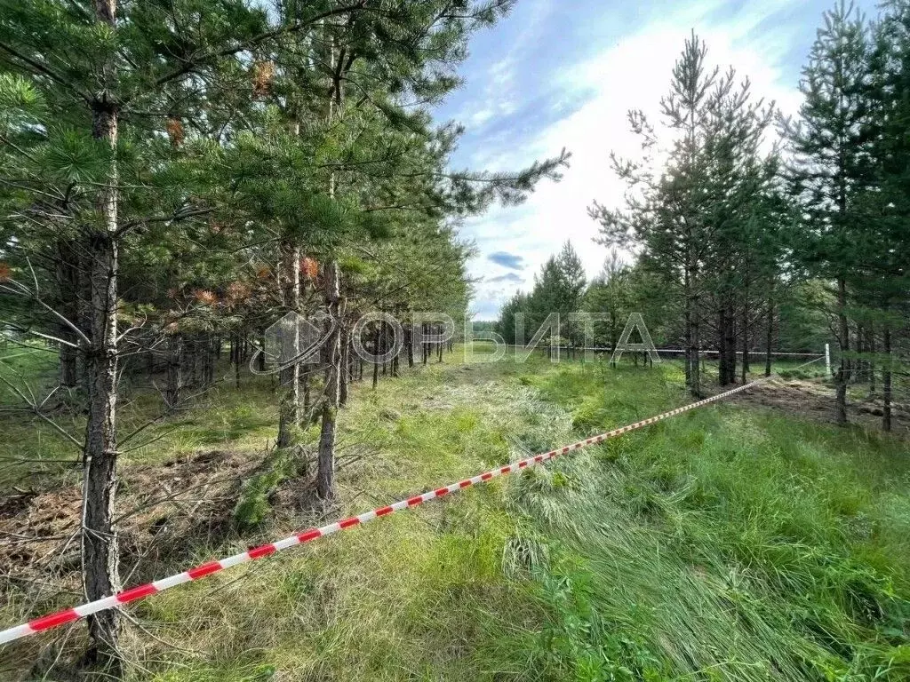 Участок в Тюменская область, Тюменский муниципальный округ, д. ... - Фото 2