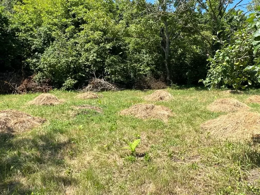 Участок в Краснодарский край, Геленджик муниципальное образование, с. ... - Фото 2