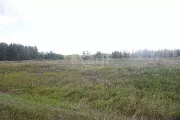 Участок в Тюменский район, садоводческое некоммерческое товарищество ... - Фото 0