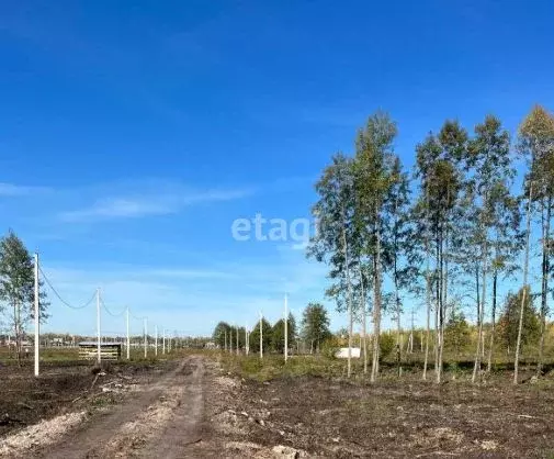 Участок в Башкортостан, Уфимский район, Зубовский сельсовет, с. Зубово ... - Фото 1