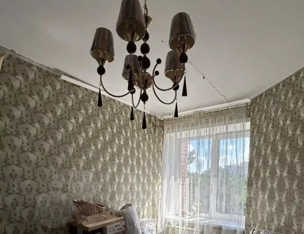 Помещение свободного назначения в Новосибирская область, Бердск МК ... - Фото 2