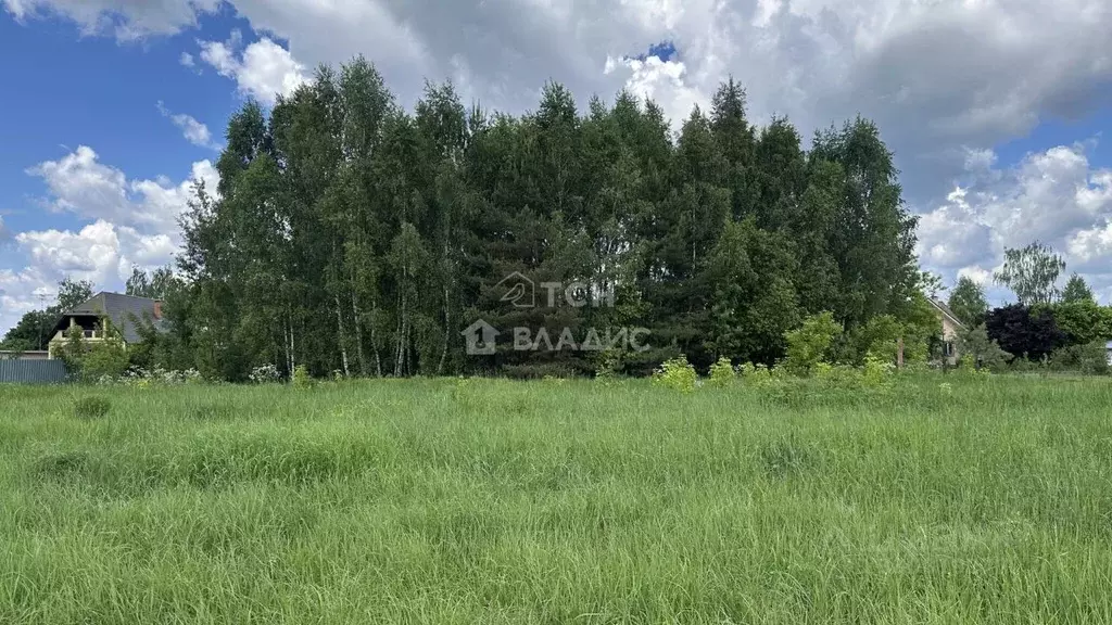 Участок в Московская область, Богородский городской округ, д. ... - Фото 1