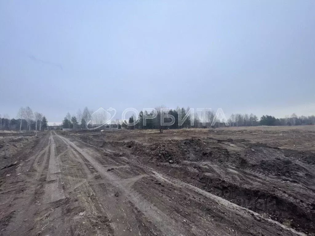 Участок в Тюменская область, Нижнетавдинский район, с. Тюнево  (10.0 ... - Фото 2