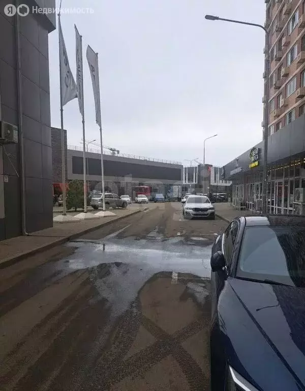 Помещение свободного назначения (42 м) - Фото 2