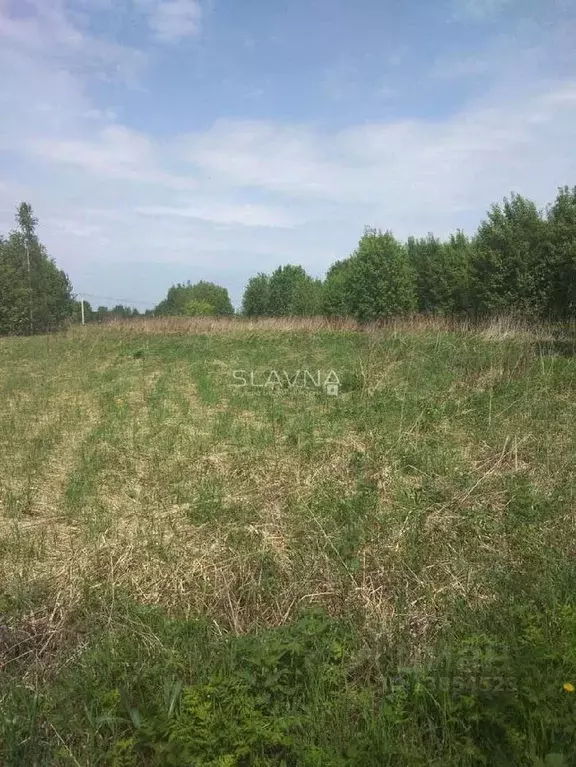 Участок в Костромская область, Красносельский район, Сидоровское ... - Фото 0