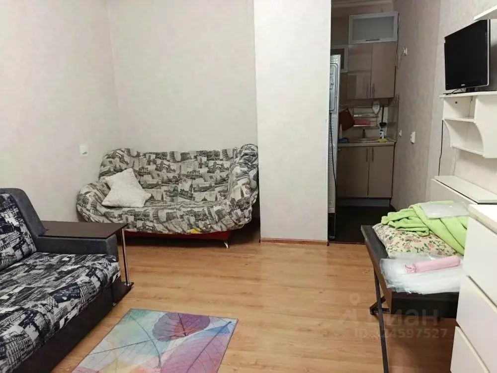 Студия Санкт-Петербург ул. Оптиков, 45к2 (25.8 м) - Фото 1