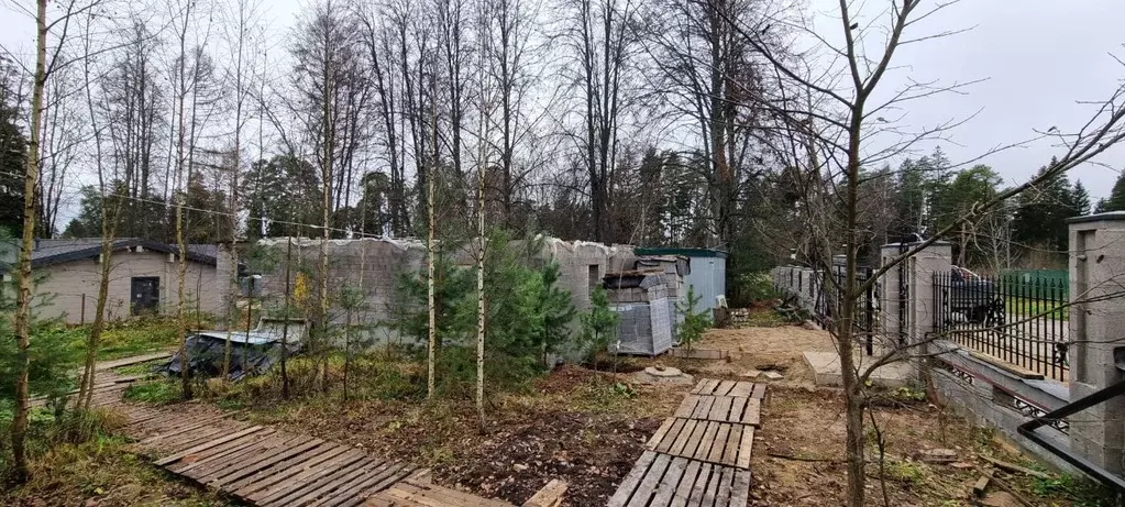 Участок в Московская область, Одинцовский городской округ, д. Иваньево ... - Фото 1
