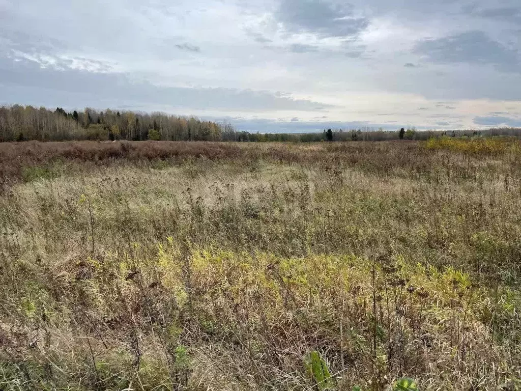 Участок в Вологодская область, д. Морино, Заречный мкр  (10.16 сот.) - Фото 2
