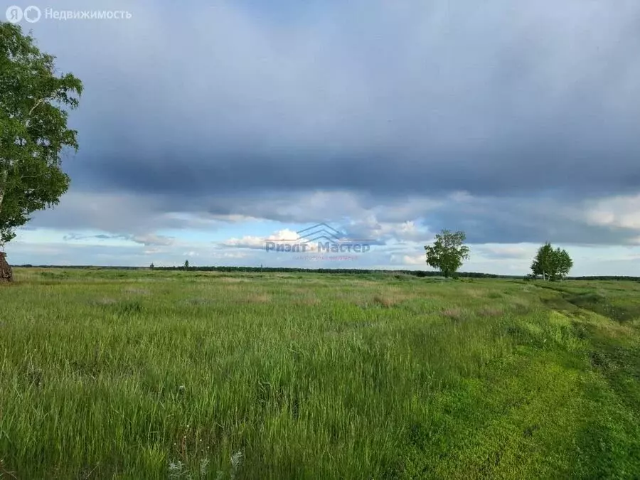 Участок в Колыванский район (10 м) - Фото 0