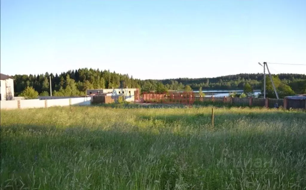 Участок в Ленинградская область, Выборгский район, Каменногорское ... - Фото 1