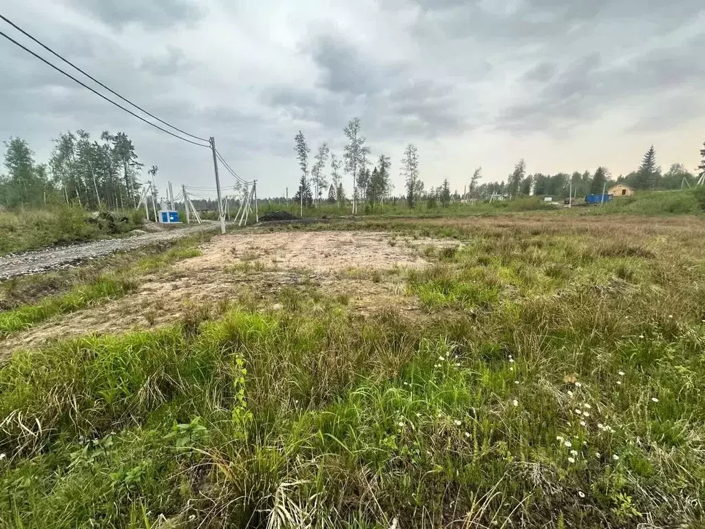 Участок в Ленинградская область, Всеволожский район, Агалатовское ... - Фото 0