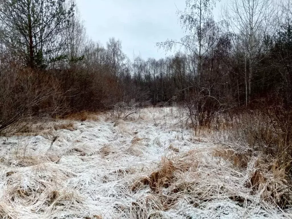 Участок в Псковская область, Псковский район, Ершовская волость, д. ... - Фото 1