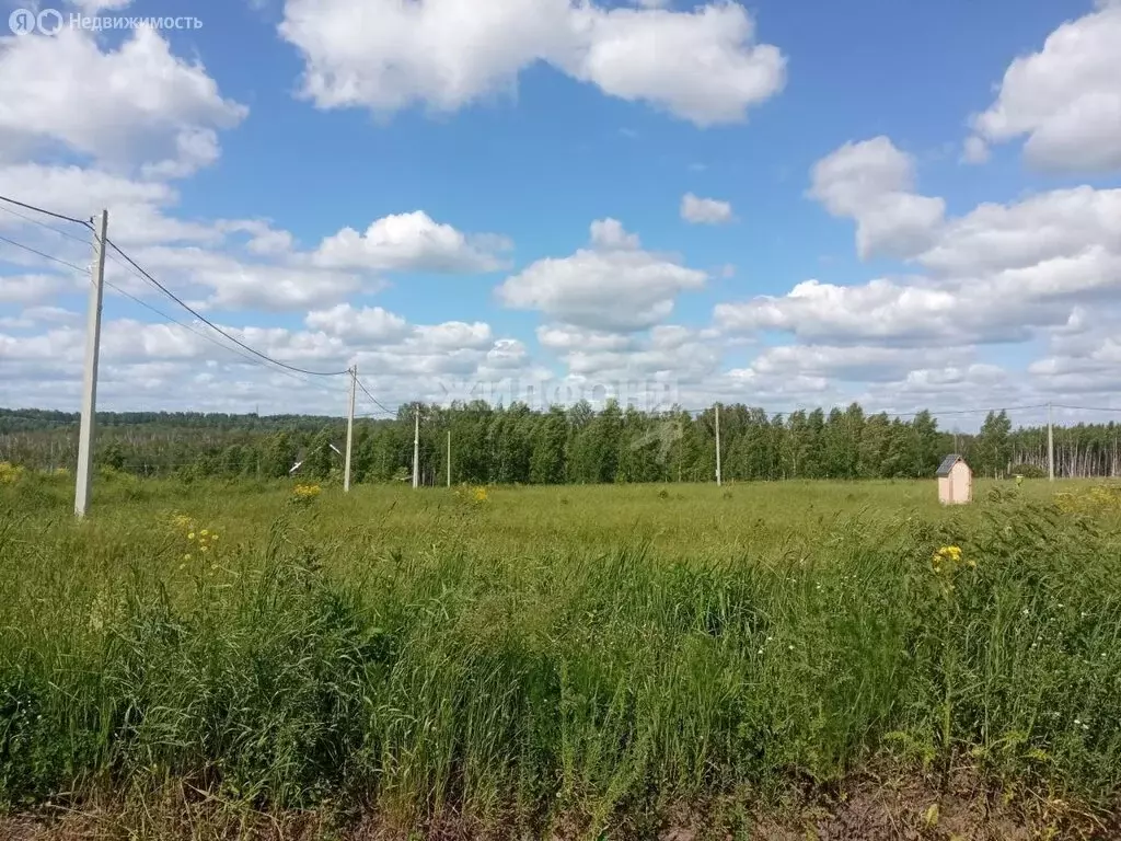 Участок в Плотниковский сельсовет, коттеджный посёлок Июль (9 м) - Фото 0