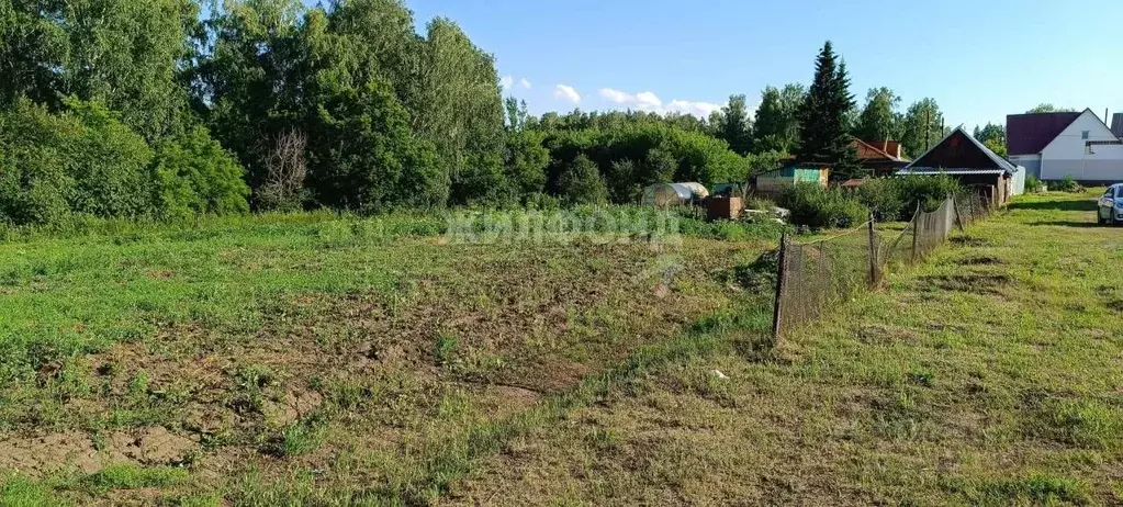 Купить Земельный Участок Поселок Бельмесево