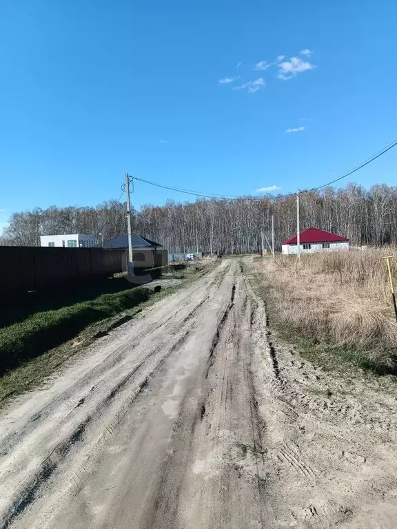 Участок в Тюменская область, Тюменский муниципальный округ, д. ... - Фото 1